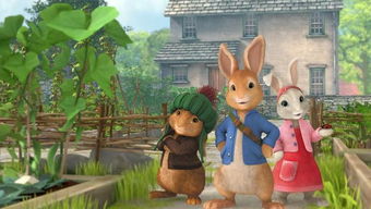 巧手雕玉兔 从食品雕刻到蔬果拼盘的创意呈现