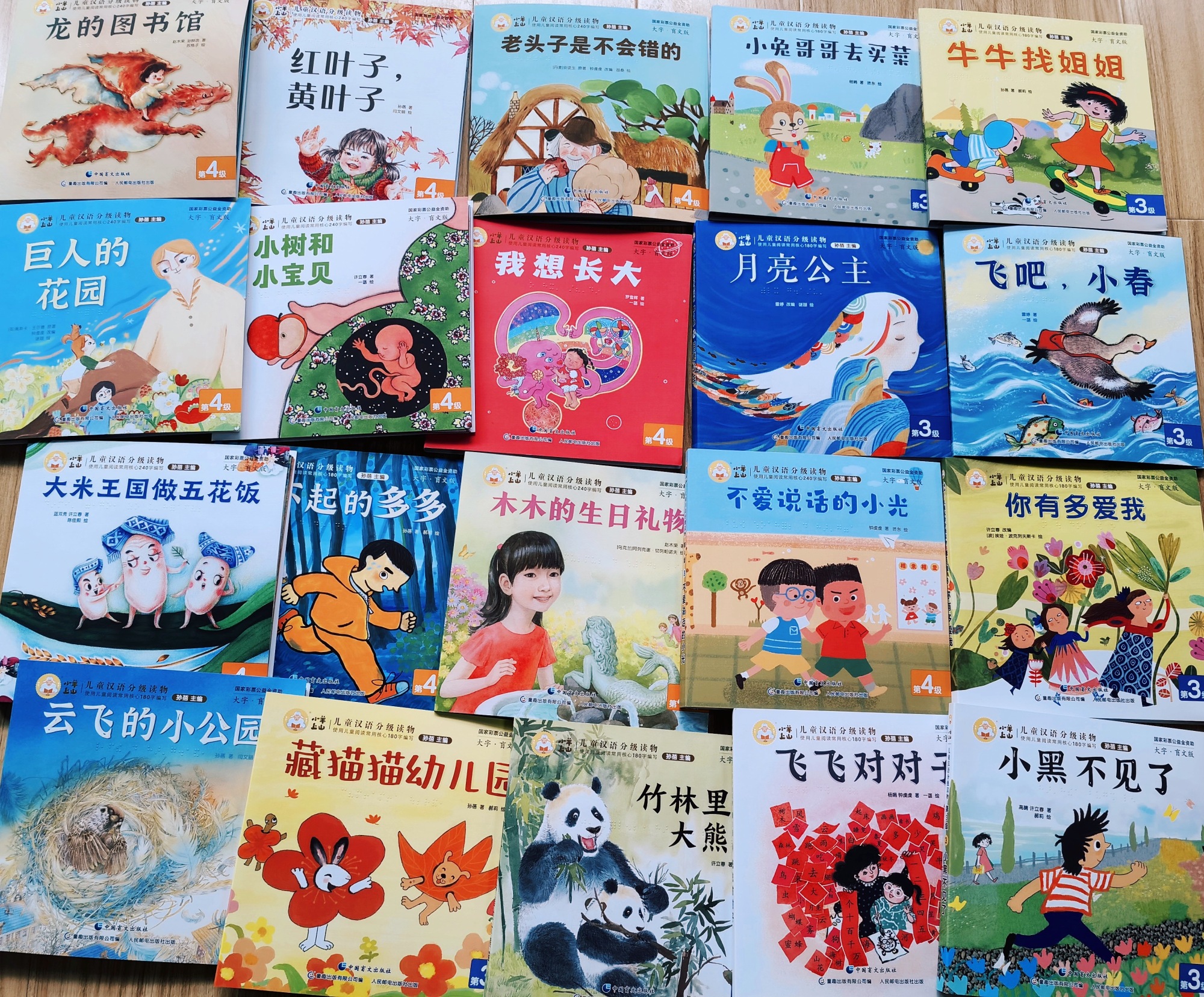 《小羊上山》 点亮视障儿童的阅读星空