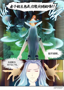 《狂野之心》第4话下 因缘再续，狂野生机